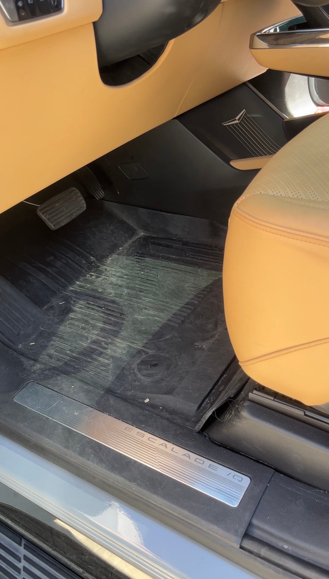 Floor & carpet restoration – Before